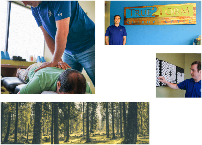 Collage of forest and pictures of Dr. Bernstein around the office